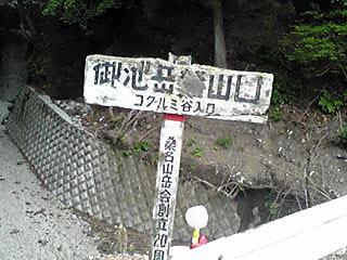 ｺｸﾞﾙﾐ谷から登りました